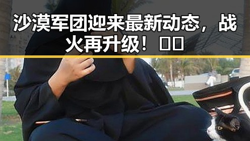 沙漠军团迎来最新动态，战火再升级！🌵🔥
