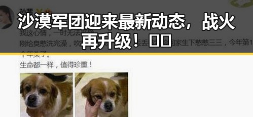 沙漠军团迎来最新动态，战火再升级！🌵🔥