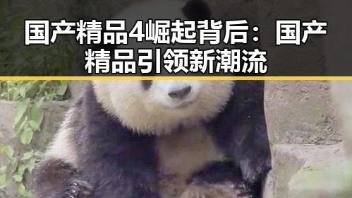 国产精品4崛起背后：国产精品引领新潮流