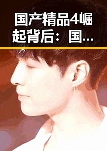 国产精品4崛起背后：国产精品引领新潮流