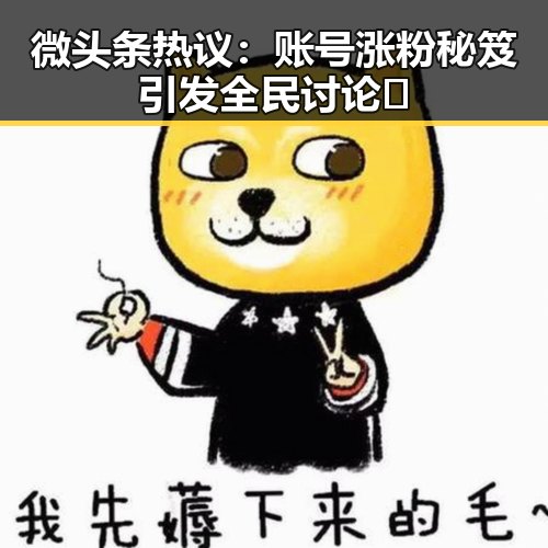 微头条热议：账号涨粉秘笈引发全民讨论🔥