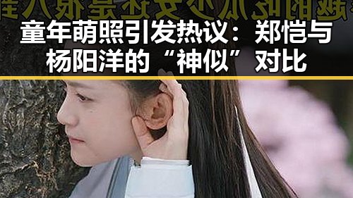 童年萌照引发热议：郑恺与杨阳洋的“神似”对比